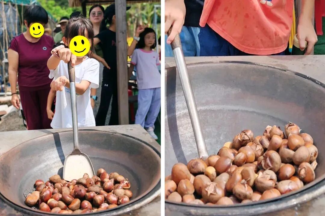 柴火大锅现炒板栗