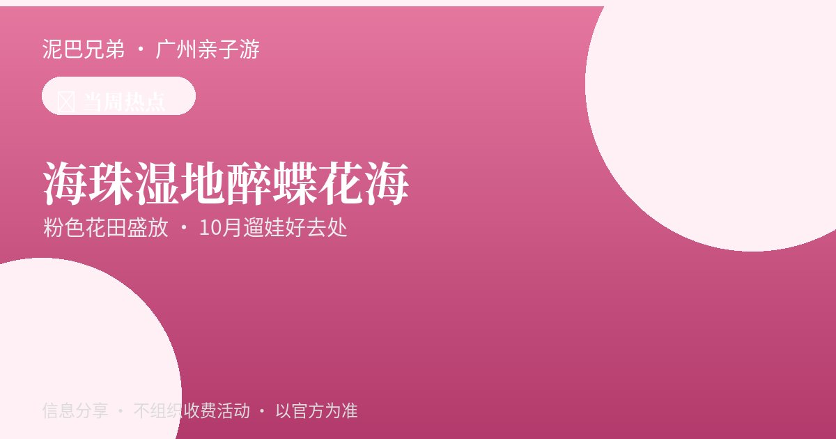 海珠湿地醉蝶花花海|中心城区2万㎡粉色秋色 海珠湿地醉蝶花粉色花海亲子拍照场景,家长带孩子漫步花田