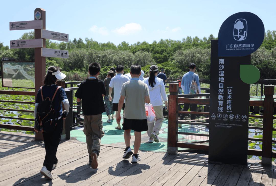 南沙湿地公园栈道