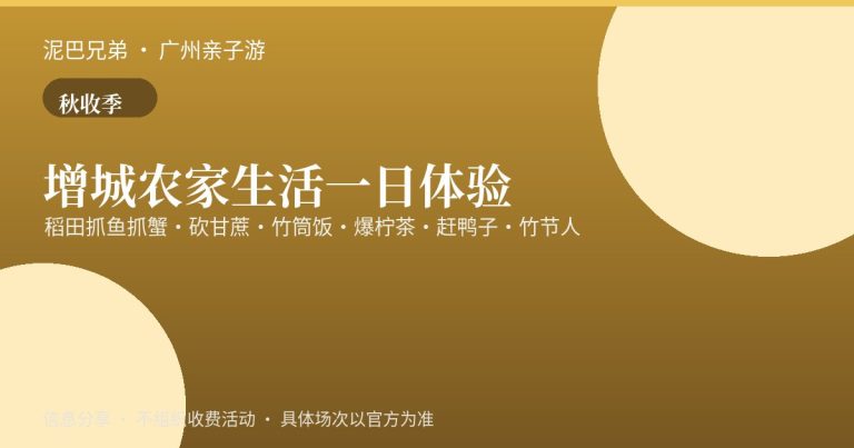 增城秋收稻田农家亲子体验，孩子稻田抓鱼砍甘蔗做竹筒饭
